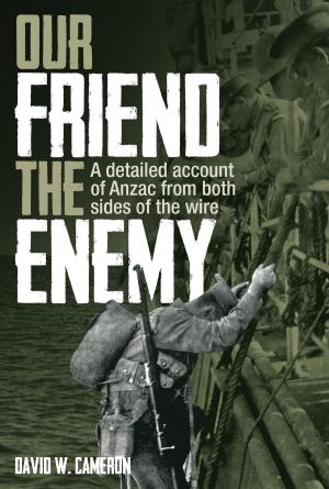 Cover of the book Our Friend the Enemy by 大衛．哥德布拉特(David Goldblatt)