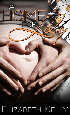 Cover of the book A Home for Lily by Elizabeth Kelly