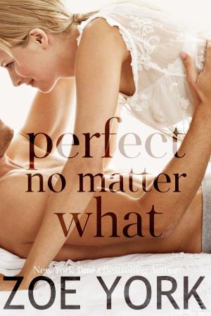 Cover of the book Perfect No Matter What by Zoe York