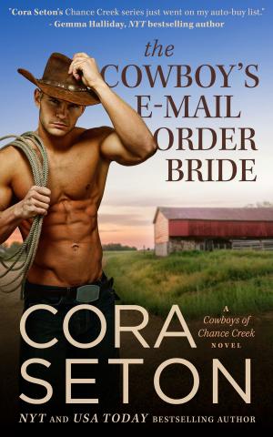 Cover of the book The Cowboy's E-Mail Order Bride by Cora Seton
