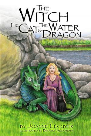 Book cover of The Witch, the Cat, and the Water Dragon
