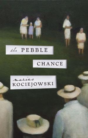 Cover of the book The Pebble Chance by Diane Schoemperlen
