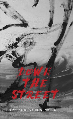 Cover of the book Down the Street by Robert Shoub