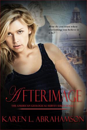 bigCover of the book Afterimage by 