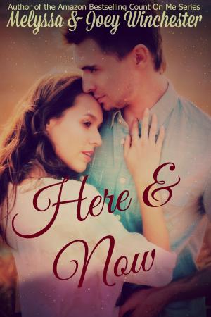 Cover of the book Here & Now by Melyssa Winchester
