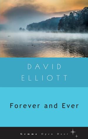 Cover of the book Forever and Ever by Mark Edwards
