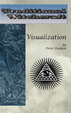 Cover of the book Traditional Witchcraft: Visualization by MIchael Berman PhD