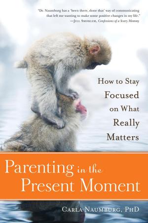 Cover of the book Parenting in the Present Moment by Peggy Rowe-Ward, Larry Ward