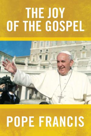 Cover of the book The Joy of the Gospel by Jon Leonetti