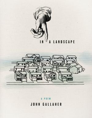 Cover of In a Landscape