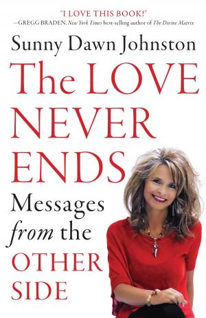 bigCover of the book The Love Never Ends by 