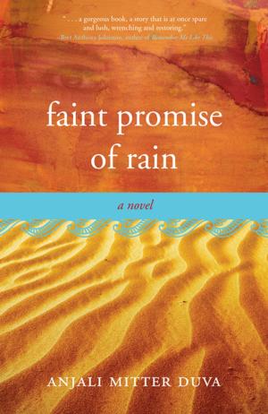 Cover of the book Faint Promise of Rain by Kellen Kaiser