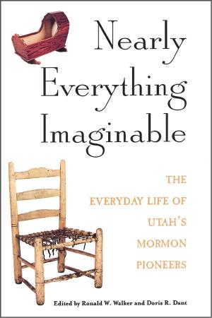Cover of the book Nearly Everything Imaginable by Merrilee Boyack