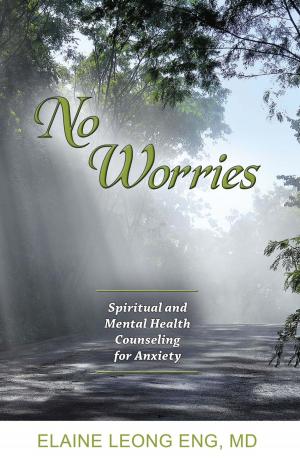 Cover of the book No Worries: Spiritual and Mental Health Counseling for Anxiety by Elaine Leong Eng