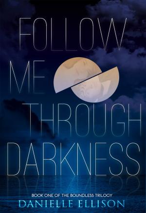 Cover of the book Follow Me Through Darkness by Rachel Harris