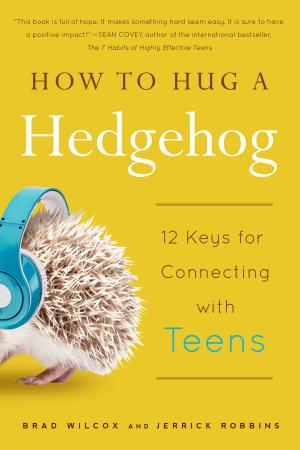 Cover of the book How to Hug a Hedgehog by Ashley Nance
