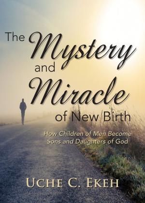 Cover of the book The Mystery and Miracle of New Birth by Jean Max B. St Louis