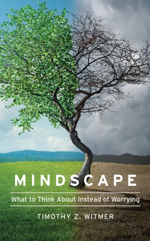 Cover of Mindscape
