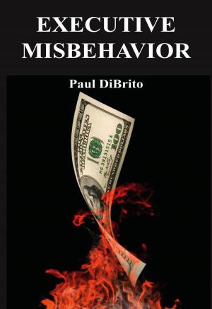 Cover of the book Executive Misbehavior by Ted Schulte