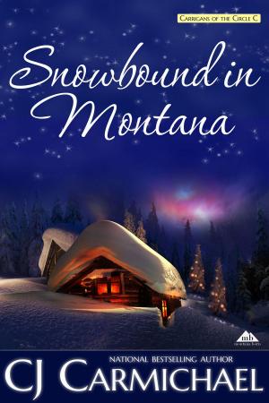 Book cover of Snowbound in Montana