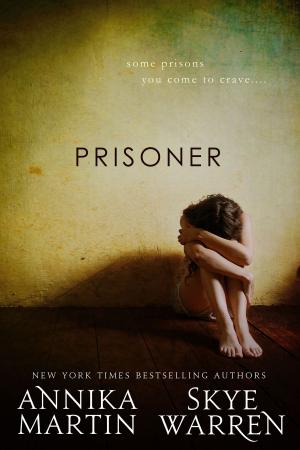 Cover of the book Prisoner by Maxine Clematis