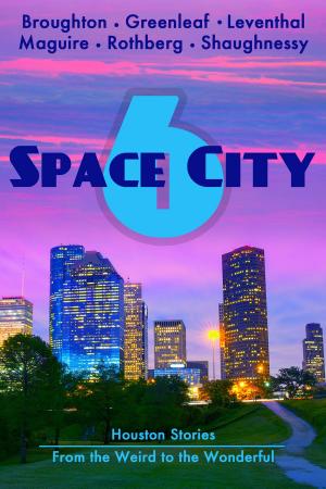 bigCover of the book Space City 6: Houston Stories from the Weird to the Wonderful by 
