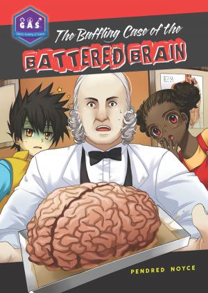 bigCover of the book The Baffling Case of the Battered Brain by 