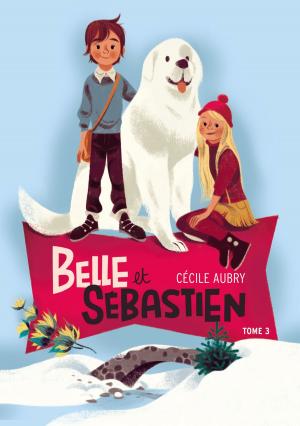 Cover of the book Belle et Sébastien 3 - La rencontre by Nicolas Vanier, Christine Féret-Fleury