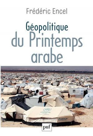 Cover of the book Géopolitique du Printemps arabe by Dominique Bourg, Alain Papaux