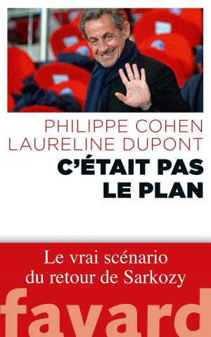 Cover of the book C'était pas le plan by Jacques Attali