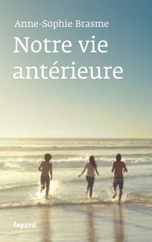 Cover of the book Notre vie antérieure by Philippe de Villiers