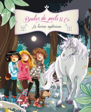 Book cover of La licorne mystérieuse