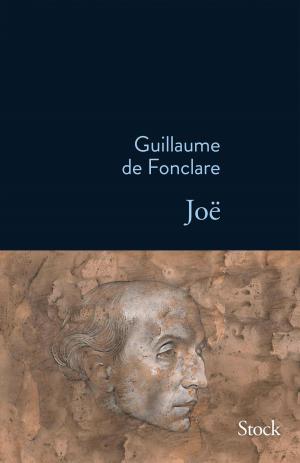 Cover of the book Joë by Gérard Guégan