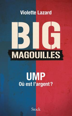 Cover of the book Bigmagouilles by Erik Orsenna