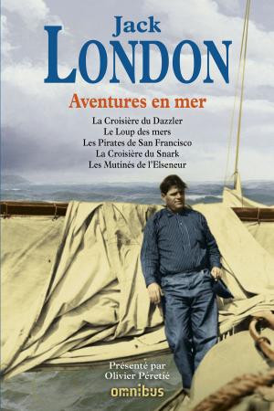 Cover of the book Aventures en mer by Jean-Michel THIBAUX