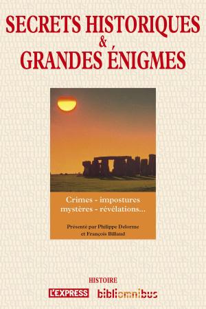 Cover of the book Secrets historiques et grandes énigmes by Georges SIMENON