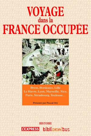 Cover of the book Voyage dans la France occupée by François KERSAUDY, Yannis KADARI
