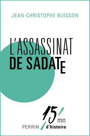 Cover of the book L'assassinat de Sadate by Grace METALIOUS