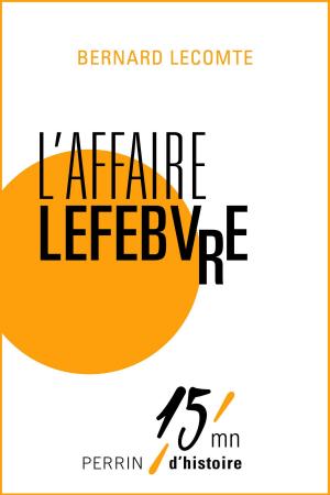 Cover of the book L'affaire Lefebvre by Michel BUSSI
