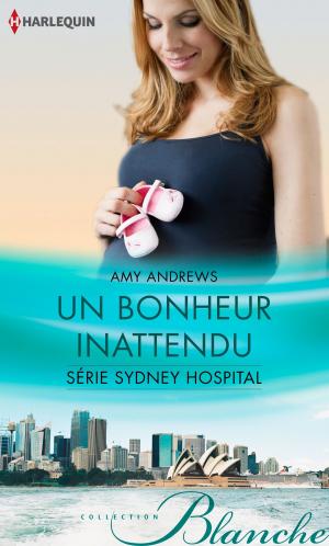 Book cover of Un bonheur inattendu