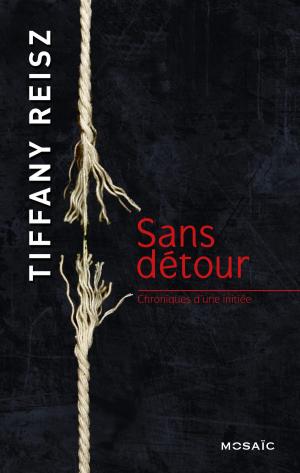 Cover of the book Sans détour by Michelle Gagnon
