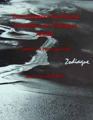 Cover of the book Dom Angelico Surchamp by Verena Lechner
