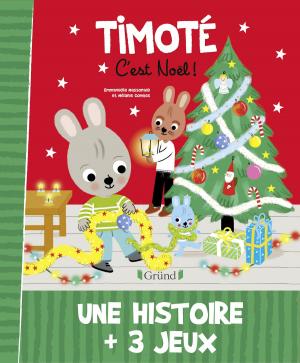 Cover of the book Timoté - C'est Noël ! by Alain TARDIF, Dr Jean-Pierre Willem