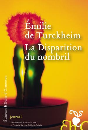 Cover of the book La Disparition du nombril by Marcus Du sautoy
