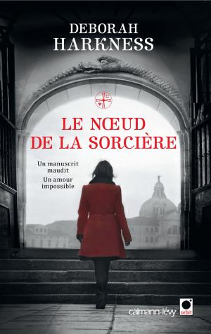 Cover of the book Le Noeud de la sorcière by Tom Holt