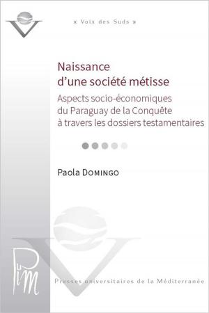 Cover of the book Naissance d'une société métisse by Dominique Luce-Dudemaine
