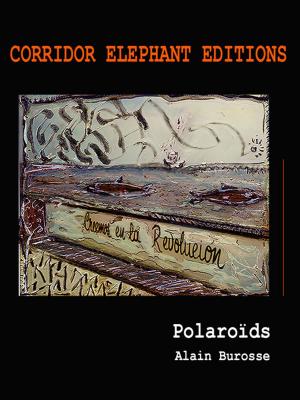 Cover of the book Polaroïds by Raphaël Blasselle