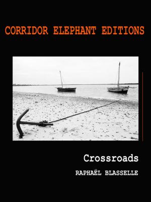 Cover of the book Crossroads by Roberto Nencini