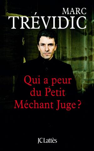 Cover of the book Qui a peur du petit méchant juge ? by Jean Contrucci