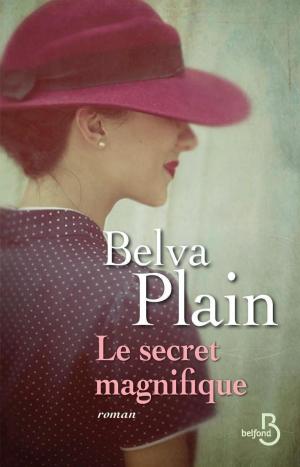 Cover of the book Le secret magnifique by Scott STOSSEL